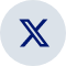 x icon